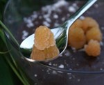 DSC04159.JPG